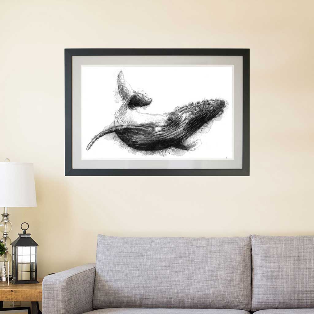 Whale swim