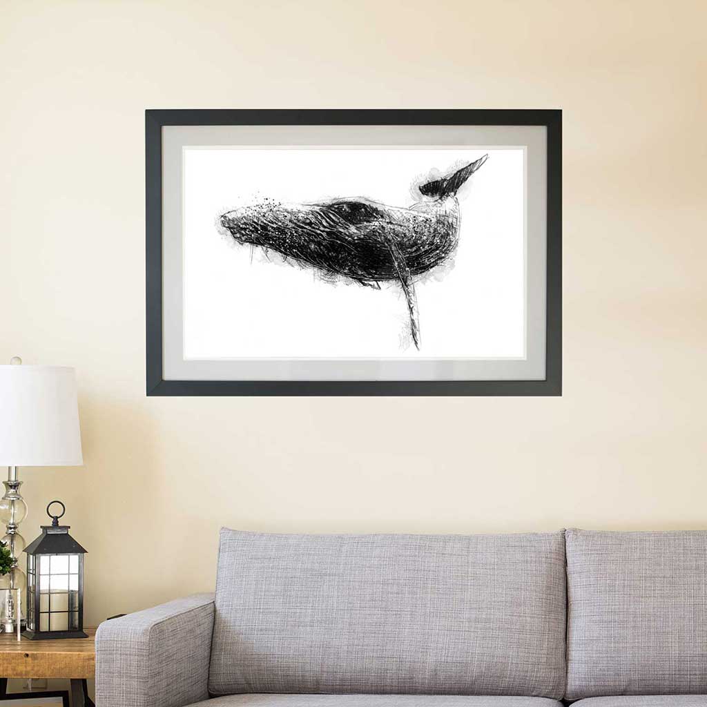 Humpback whale