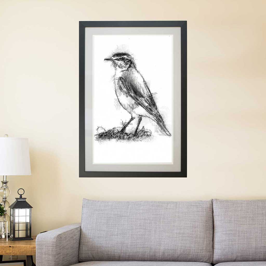 Wheatear