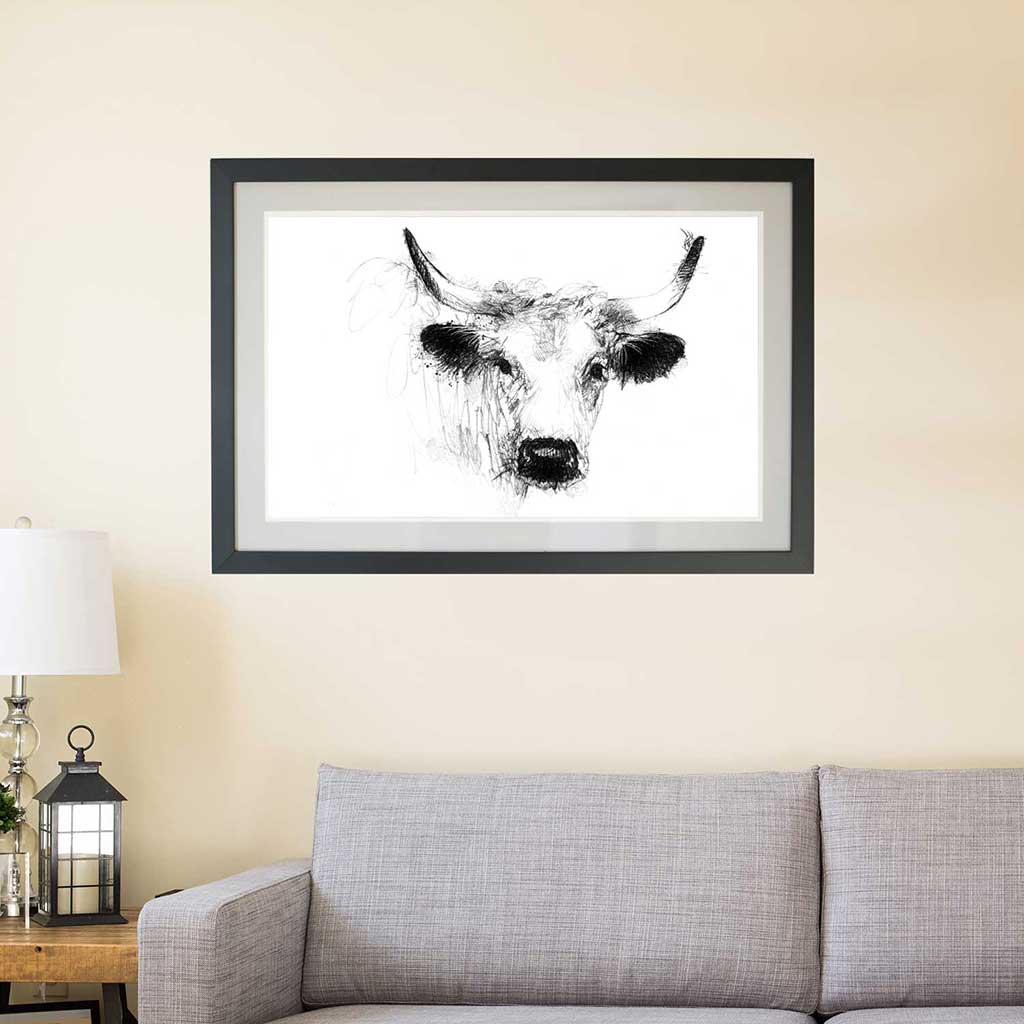 White park cow