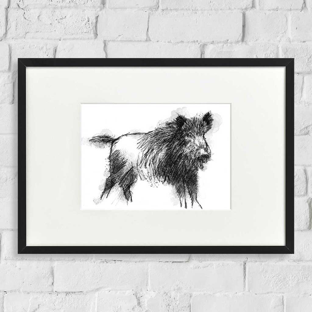 Wild boar