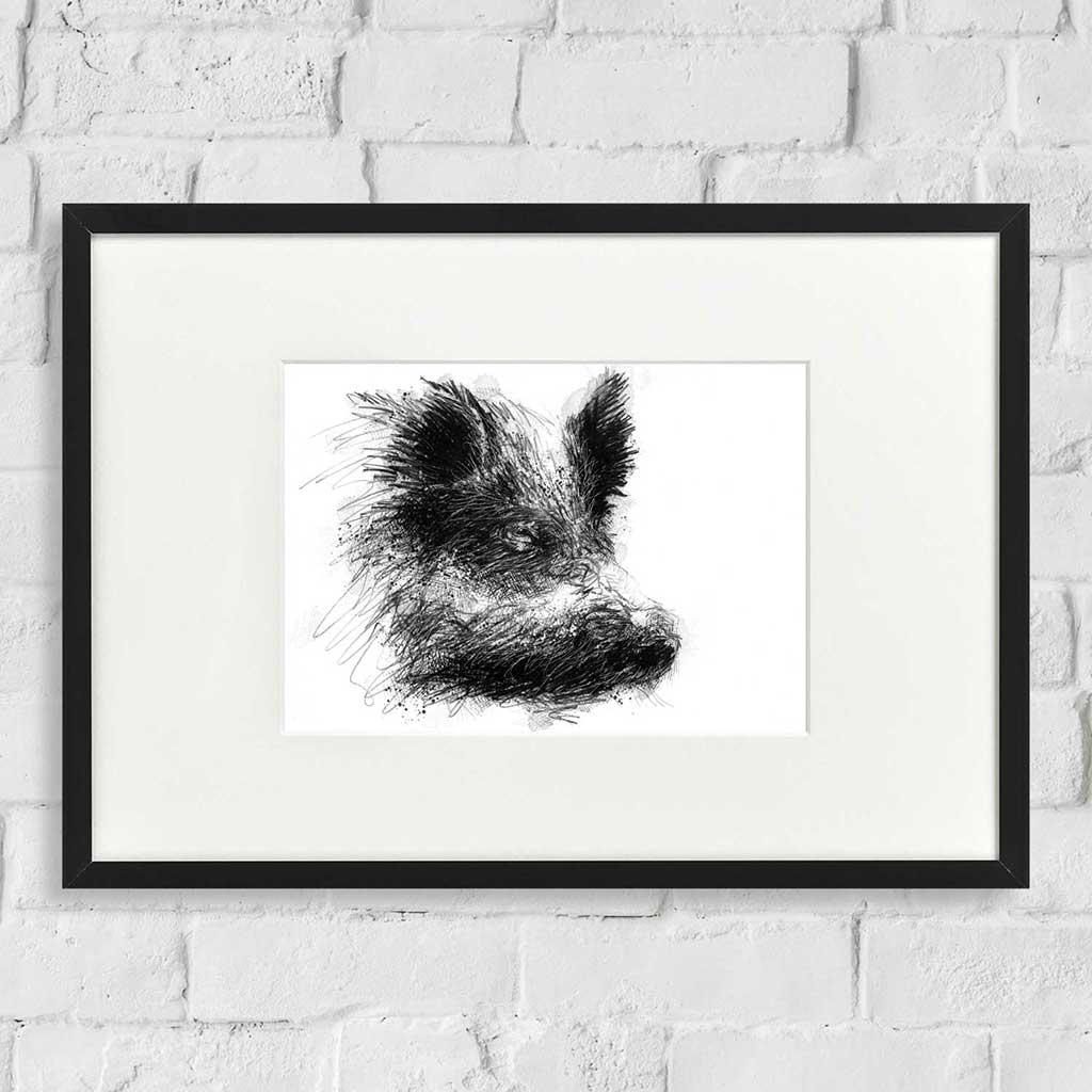 Wild boar head