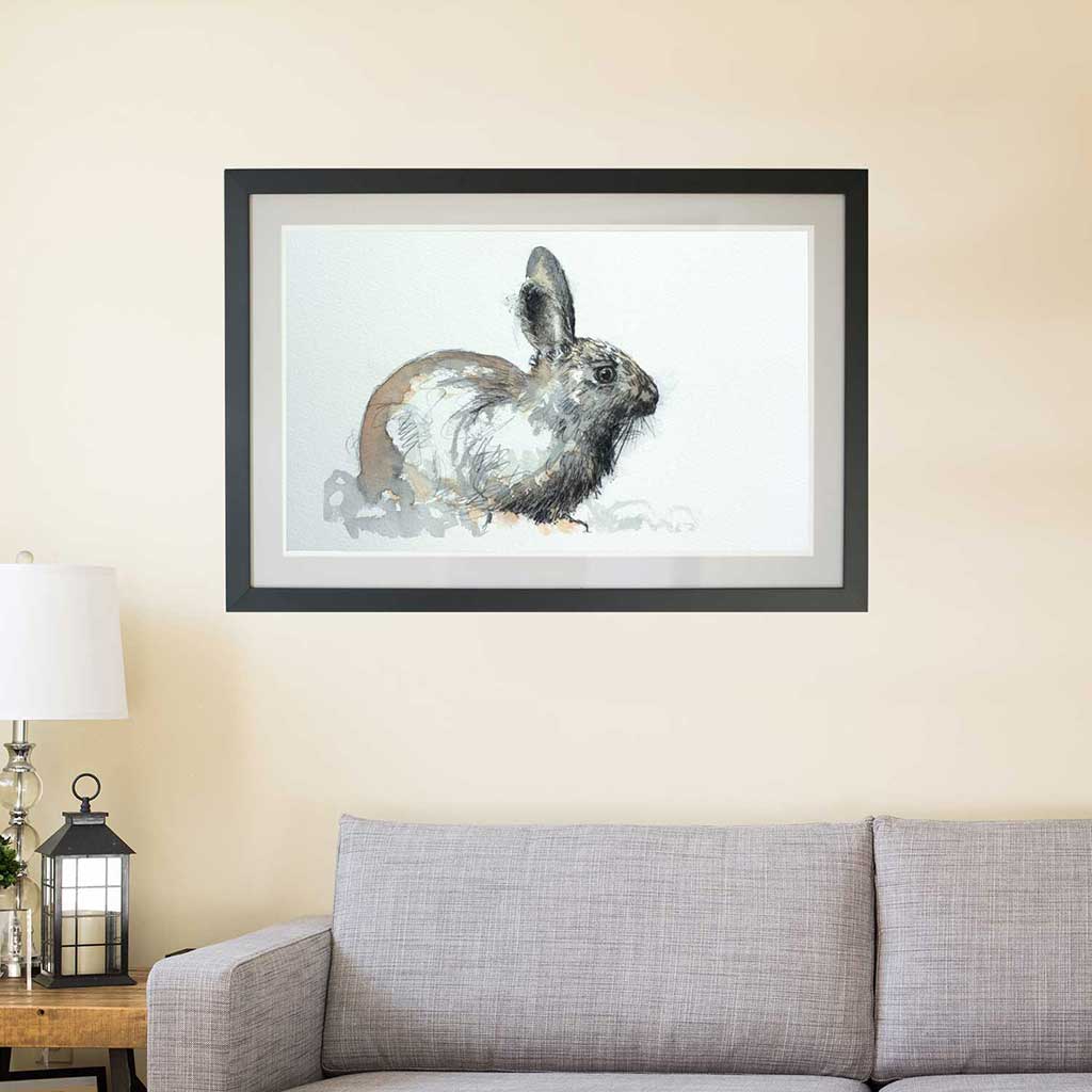 Wild rabbit