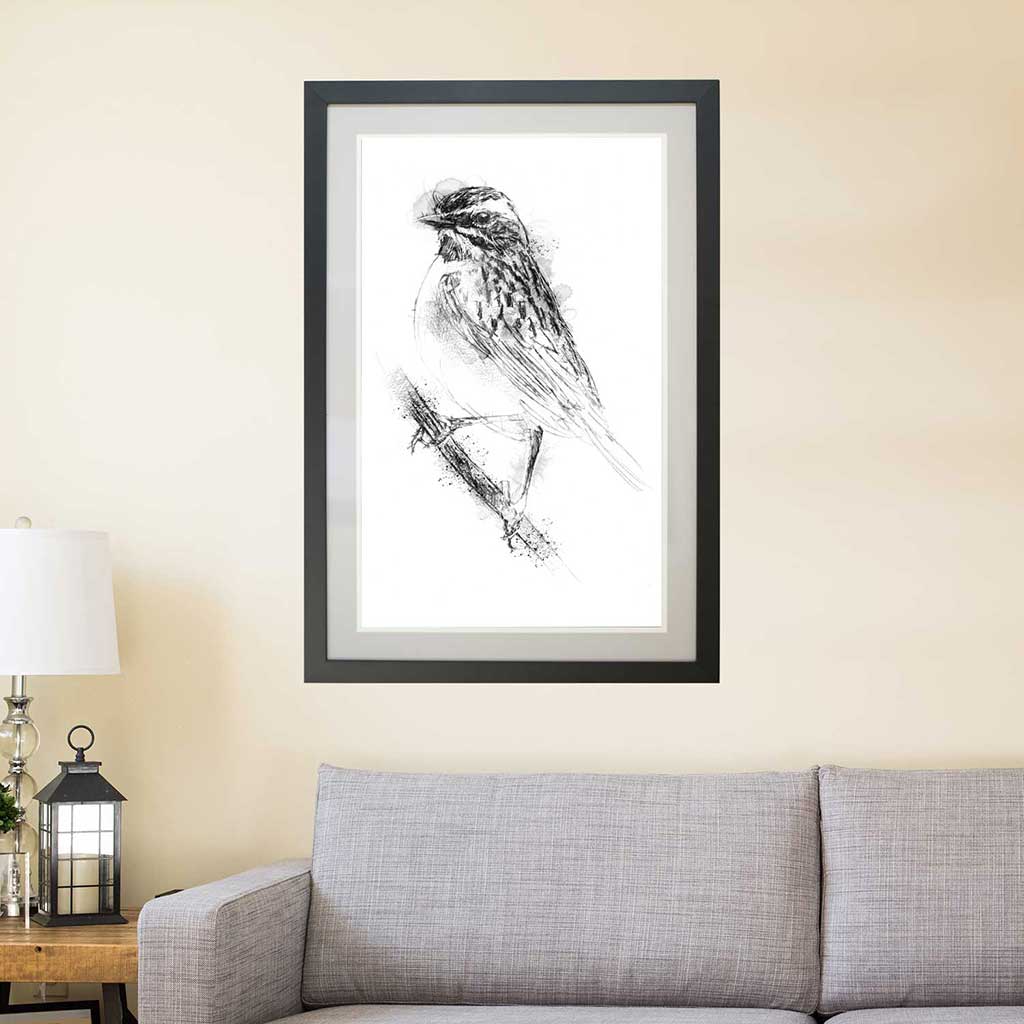 Whinchat