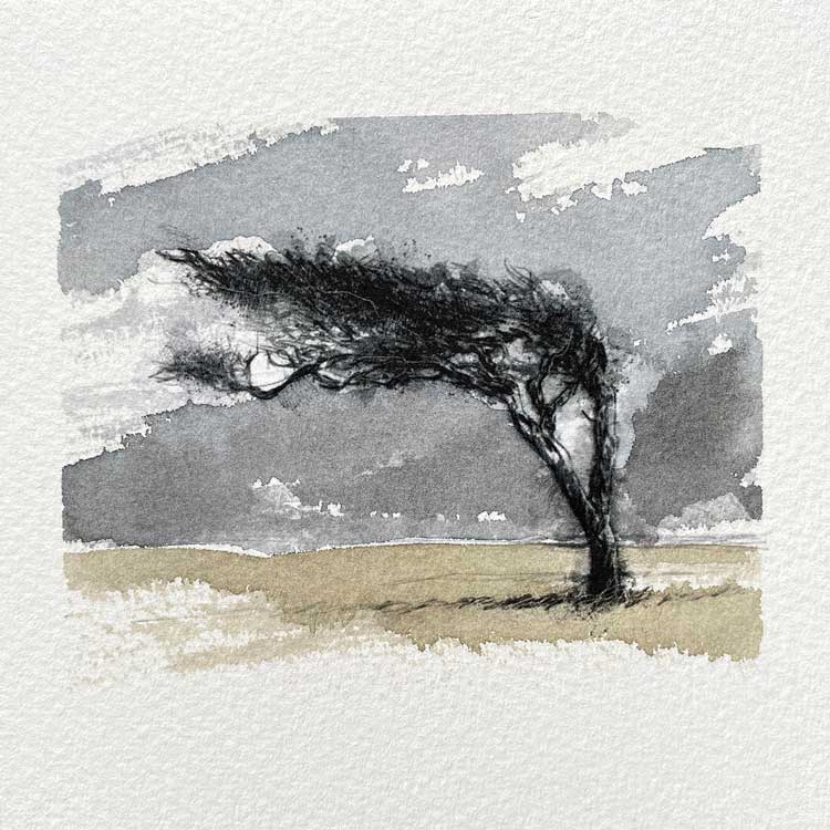 Windswept tree original mini sketch