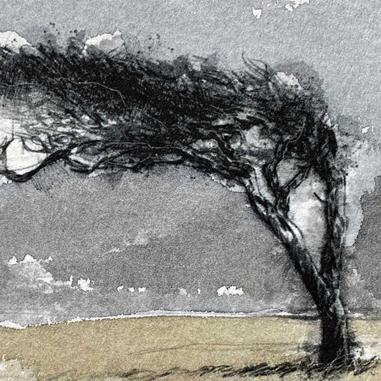 Windswept tree original mini sketch
