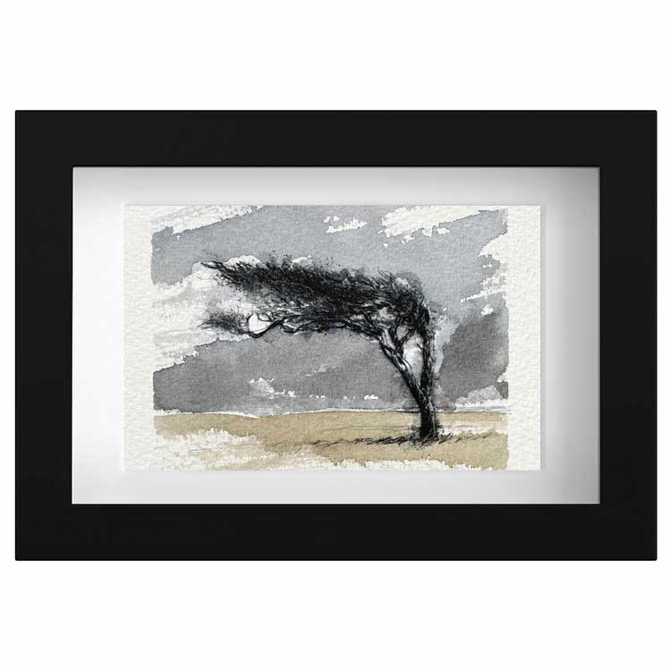 Windswept tree original mini sketch