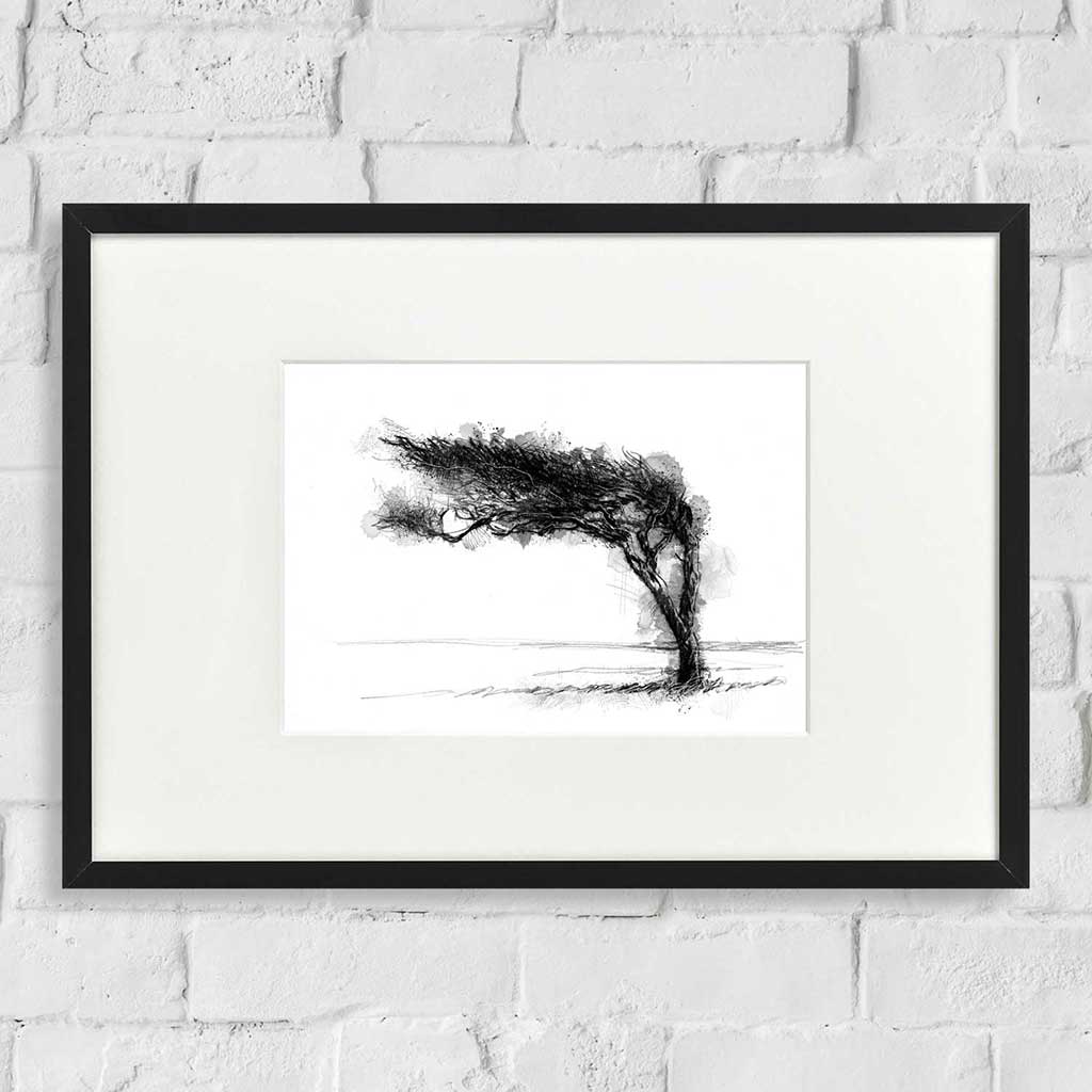 Windswept tree