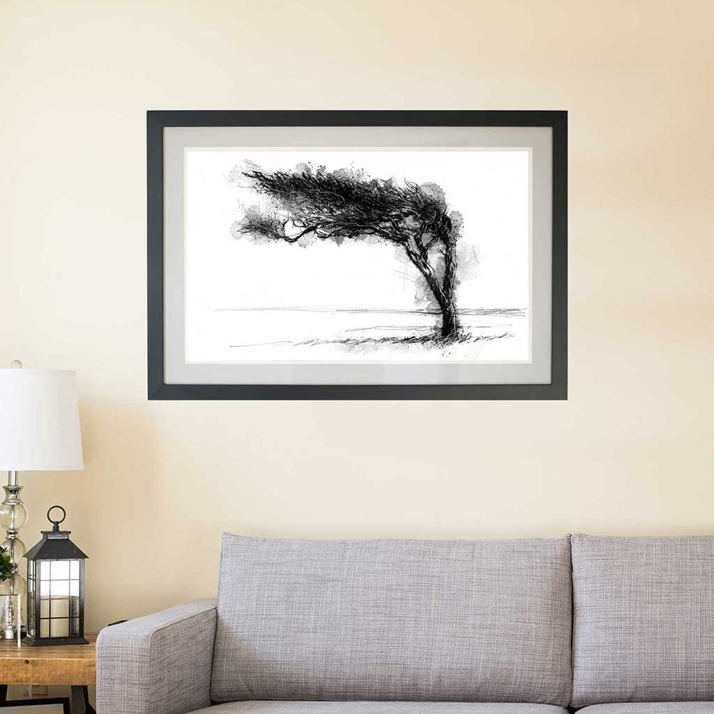 Windswept tree