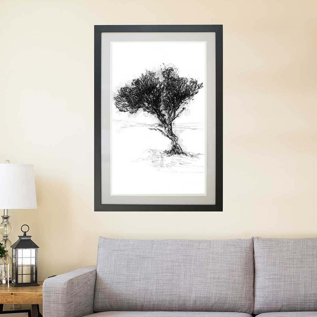 Windswept thorn tree
