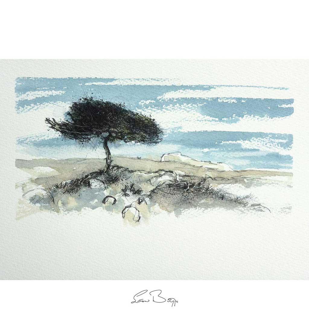 Windswept tree