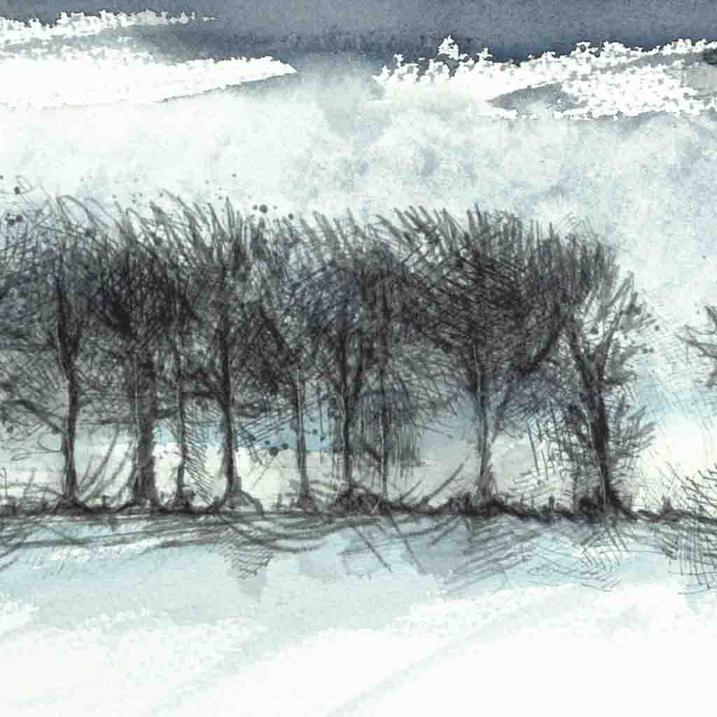 Winter treeline