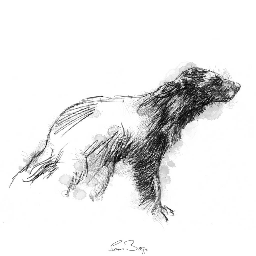 Wolverine