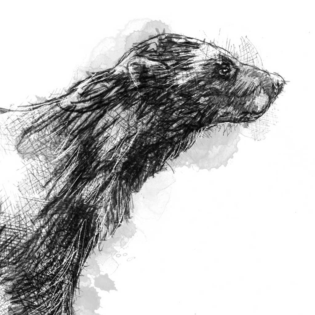Wolverine