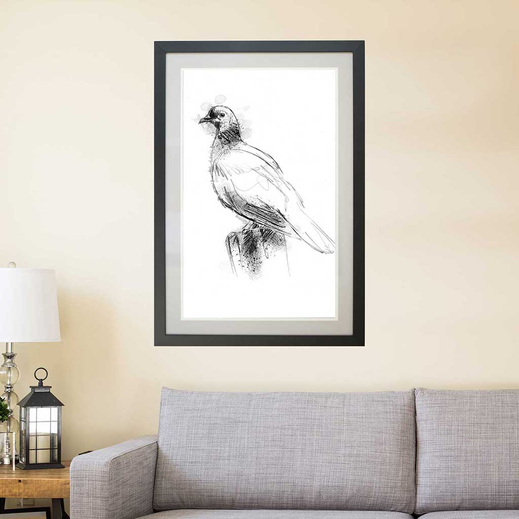 Wood pidgeon