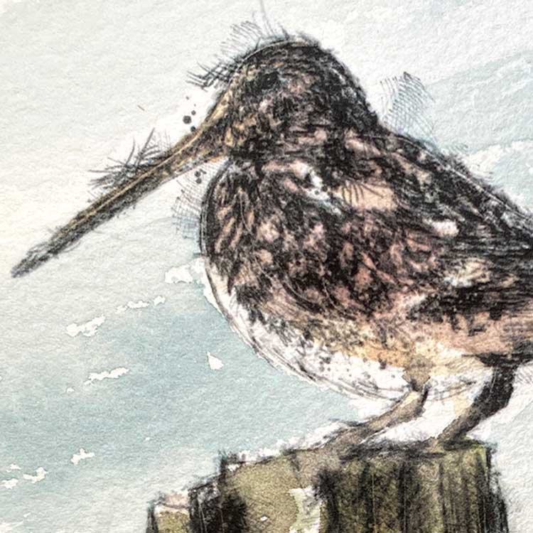 Woodcock mini sketch