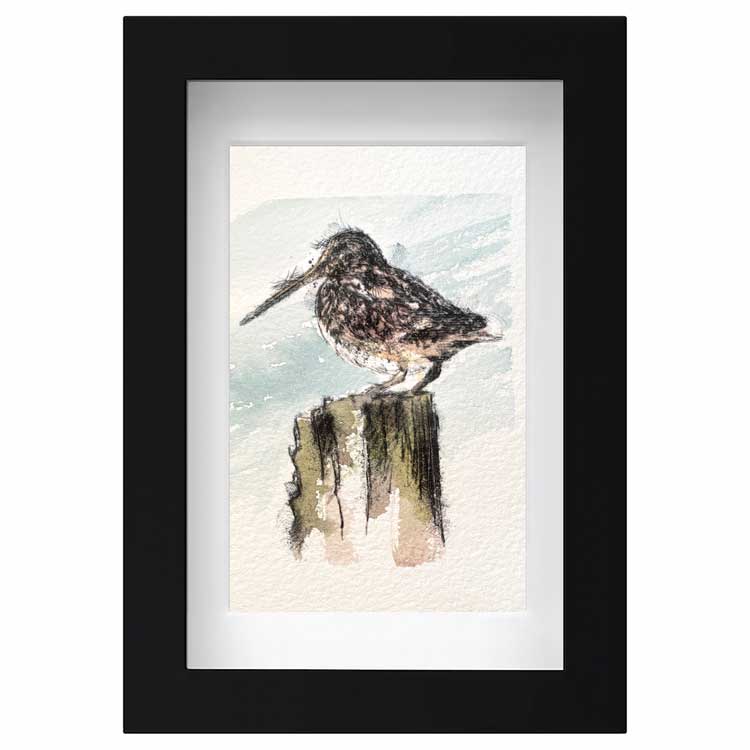 Woodcock mini sketch