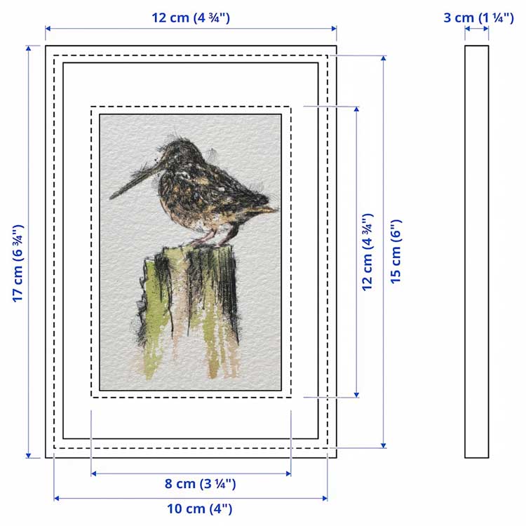 Mini woodcock sketch