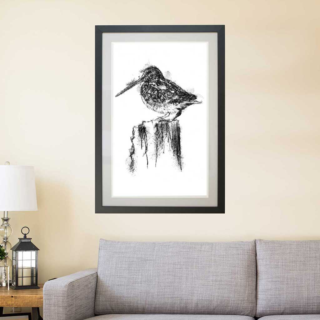 Woodcock sat