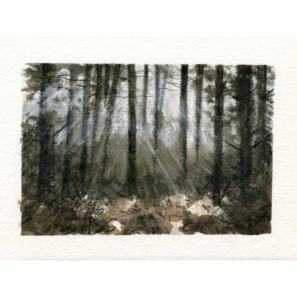 A watercolor painting of a dense forest with tall dark tree trunks and rays of light filtering through the mist, shown on textured paper with a white border.