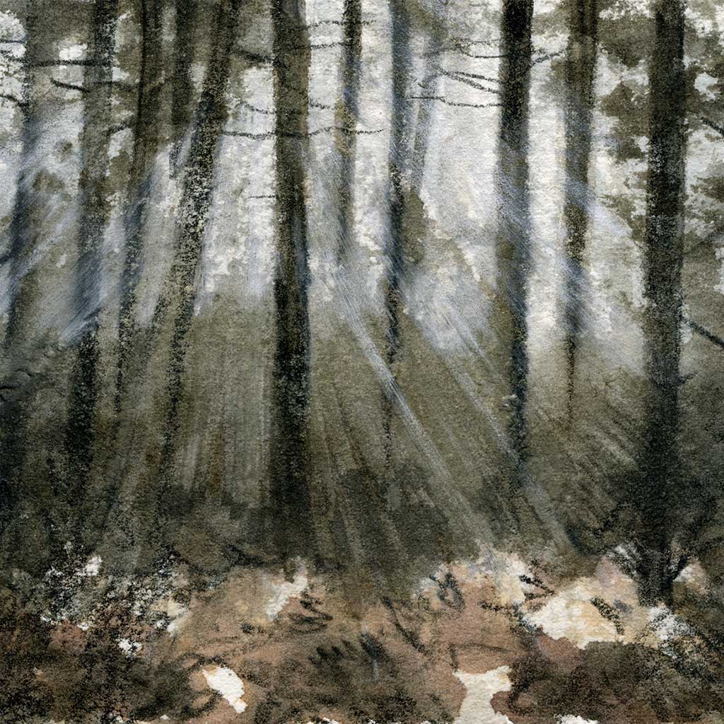 Woodland God rays - Colour Sketch | small one off