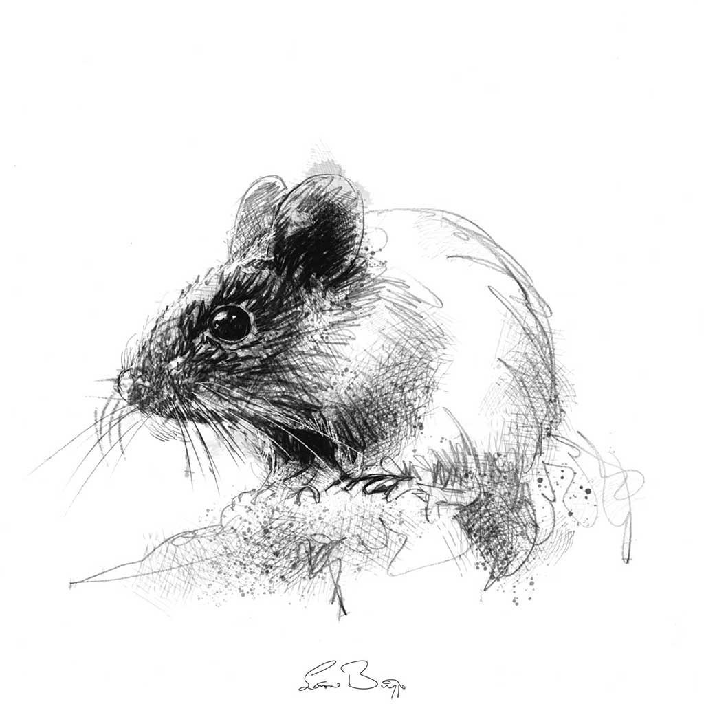 Woodmouse