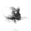 Wood mouse