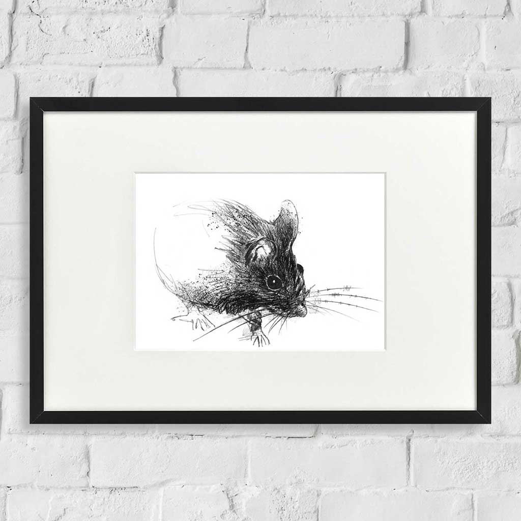 Wood mouse