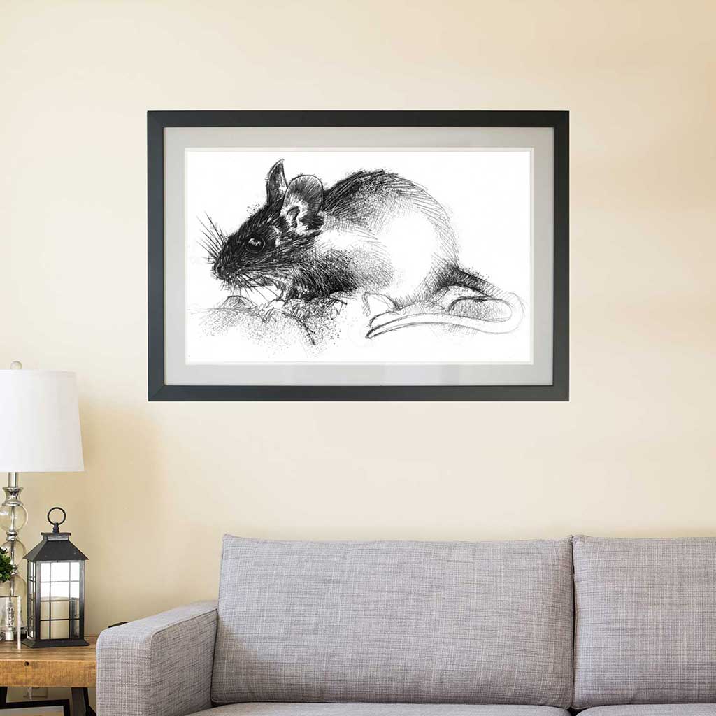 wood mouse