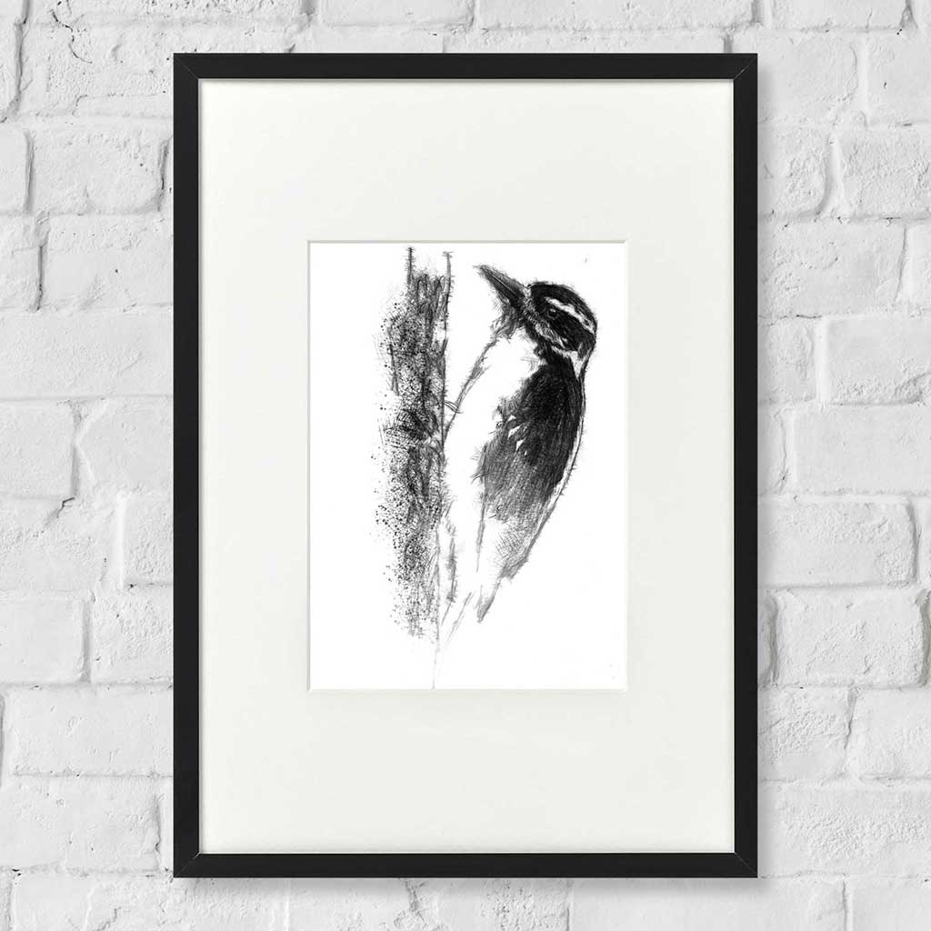 Woodpecker
