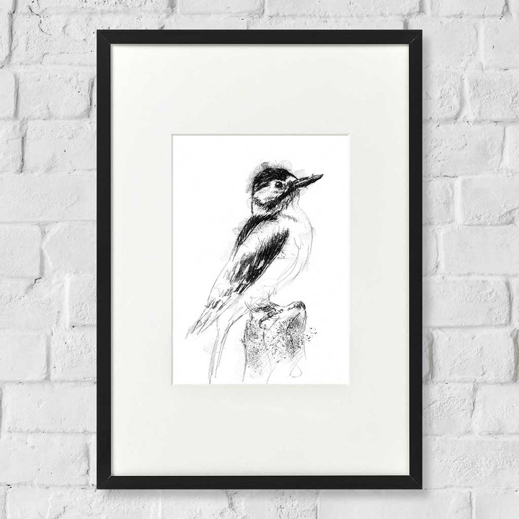 Woodpecker