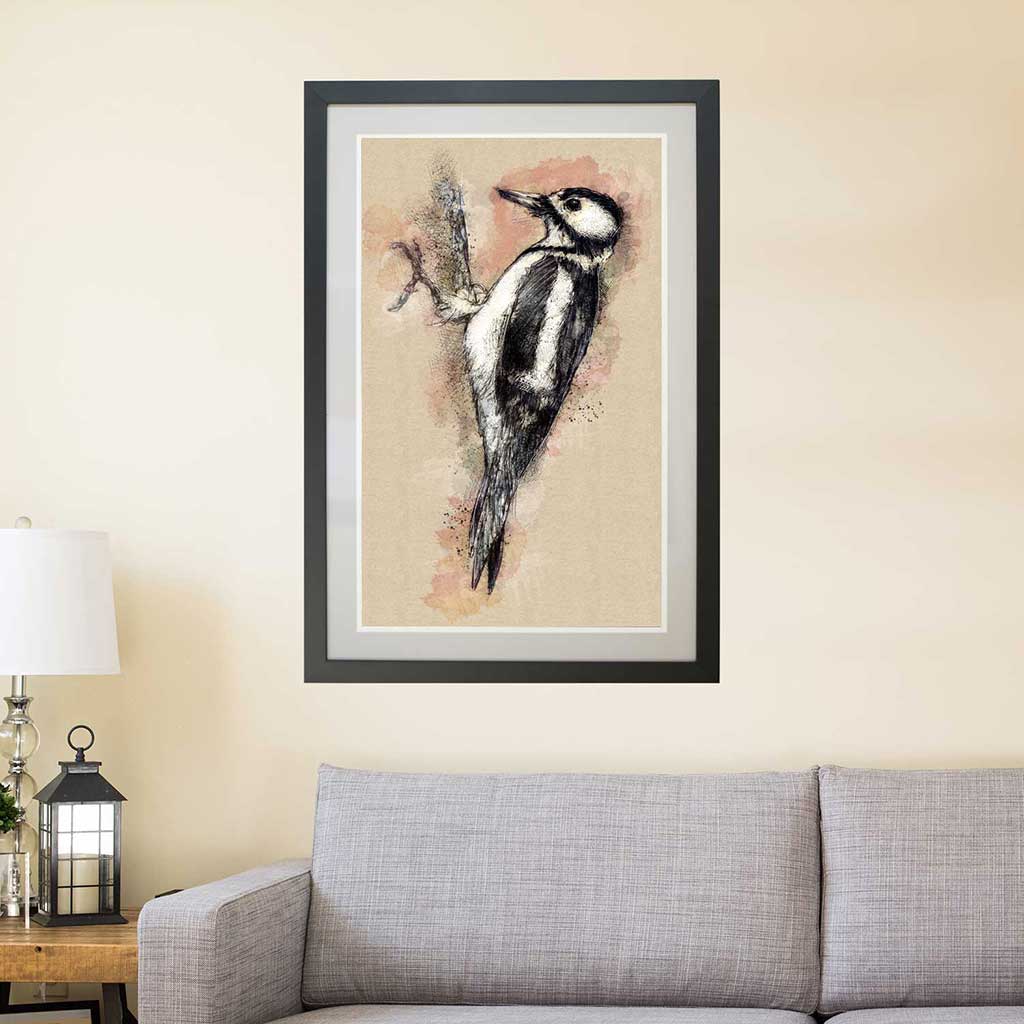 Pied woodpecker