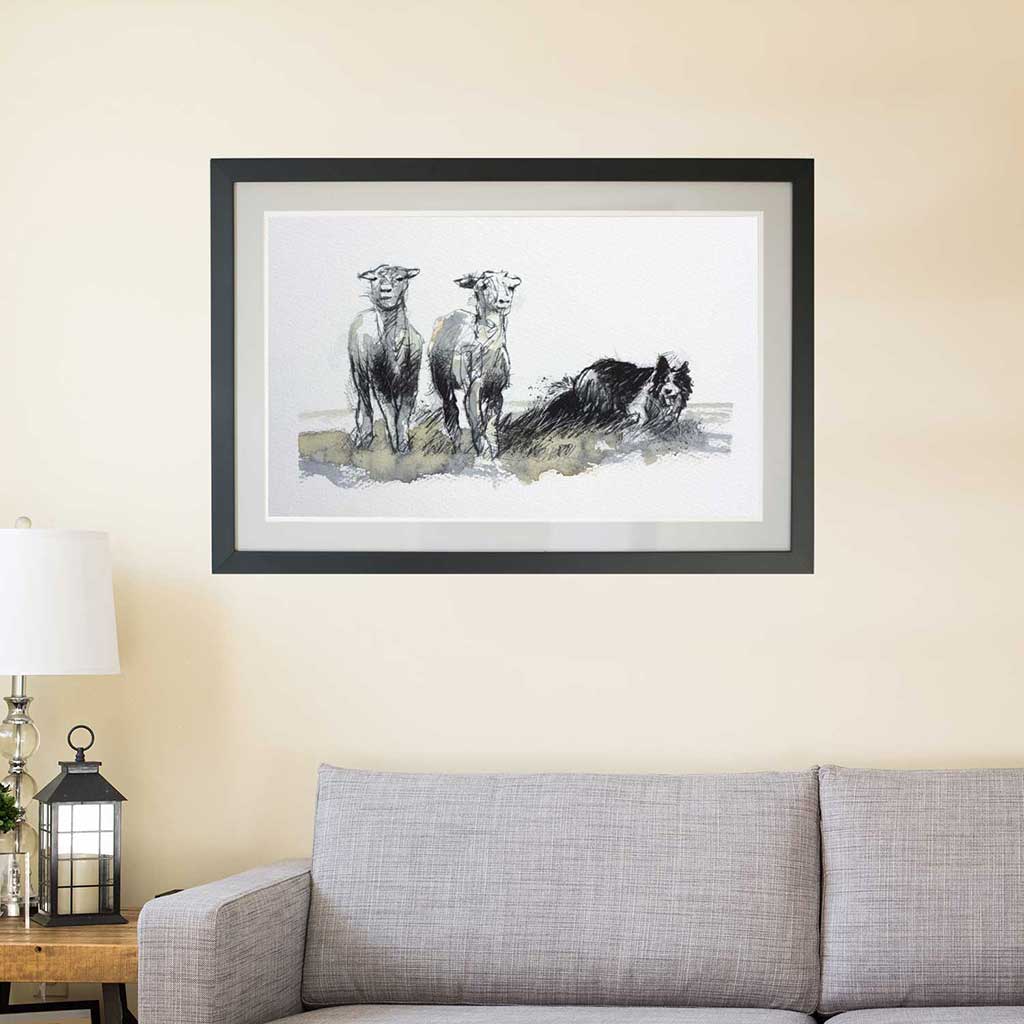 Working sheepdog