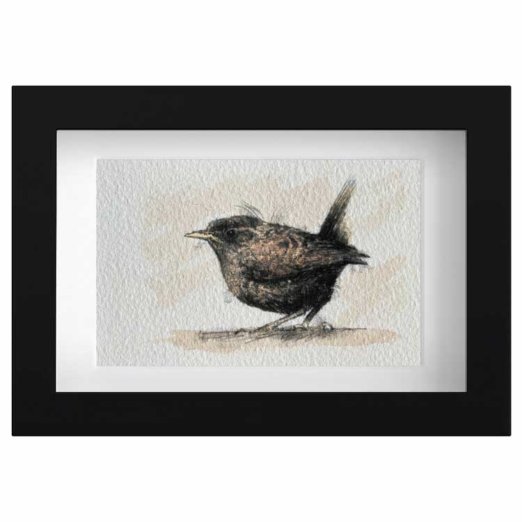 Wren mini sketch