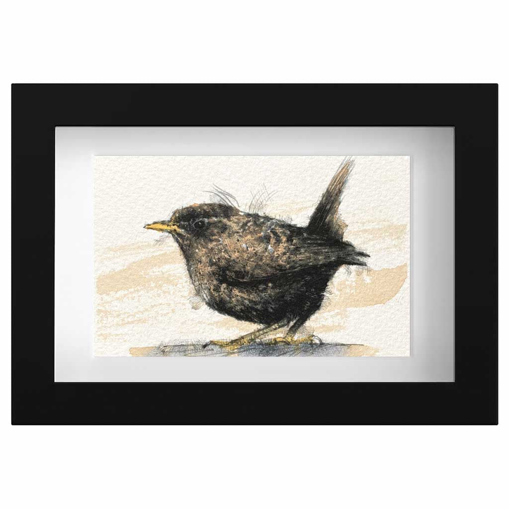 Wren original mini sketch