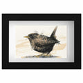 Wren original mini sketch