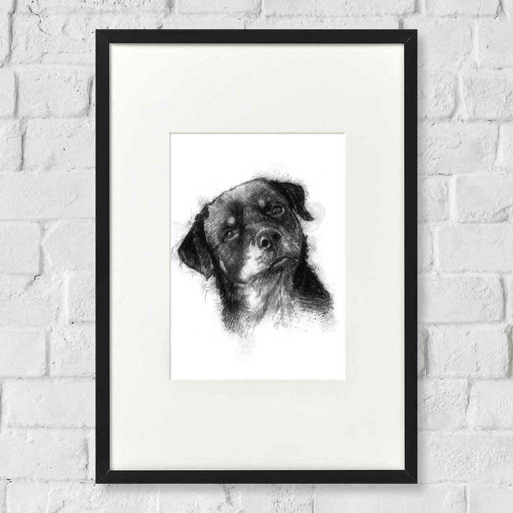 Rottweiler