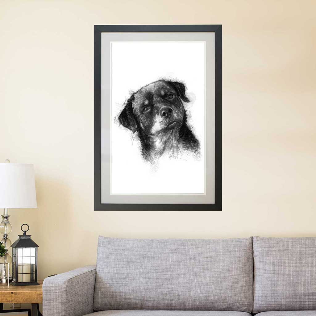 Rottweiler