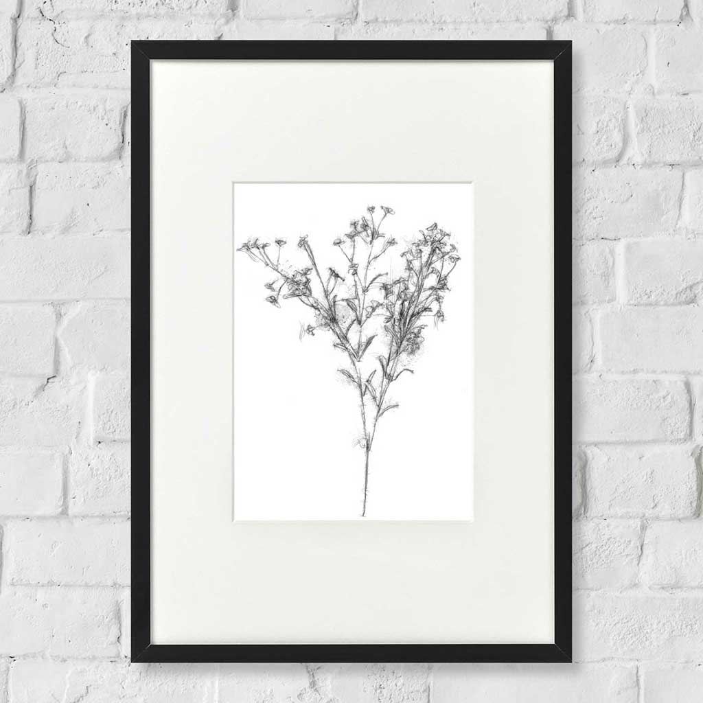 Wild flower