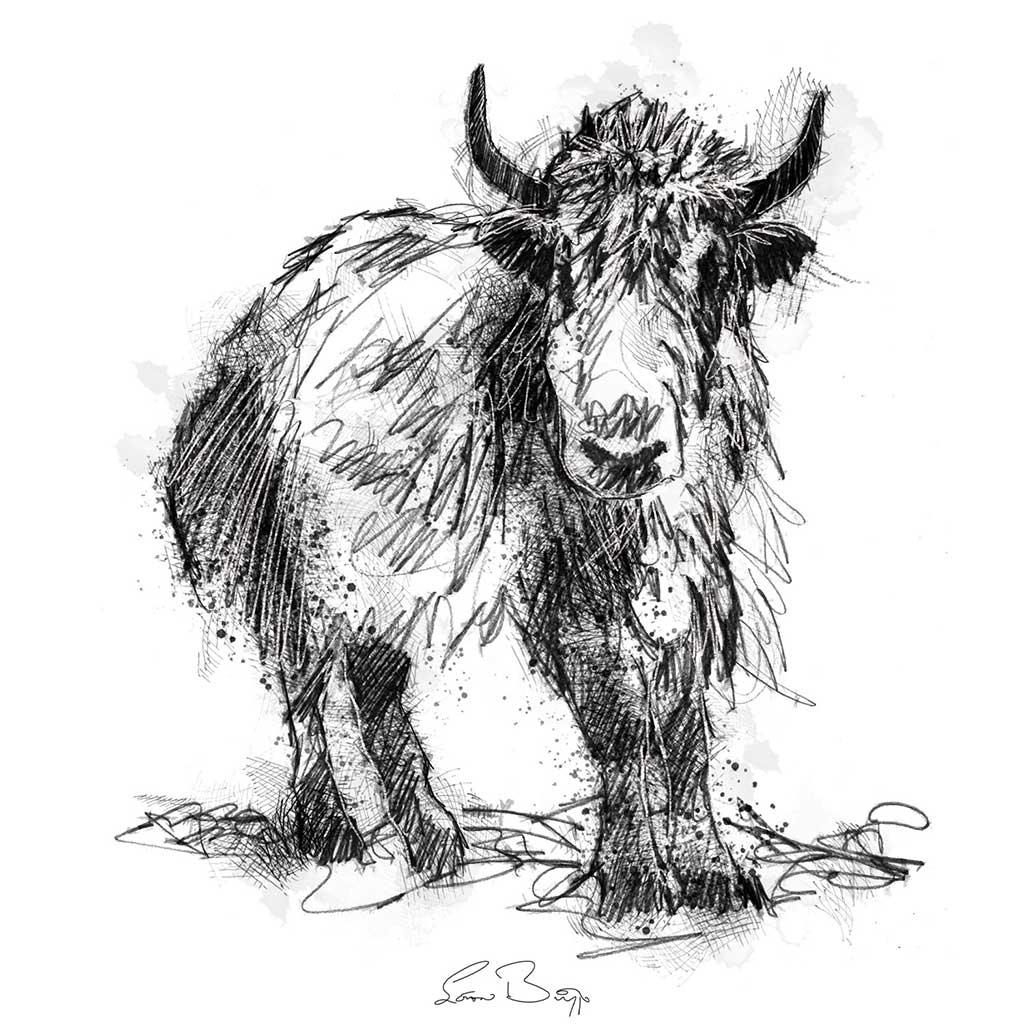 Scruffy yak