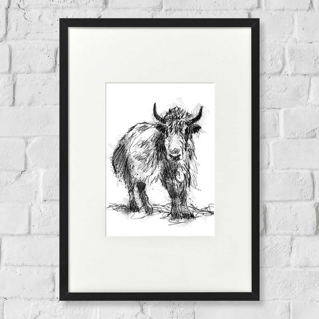 Scruffy yak