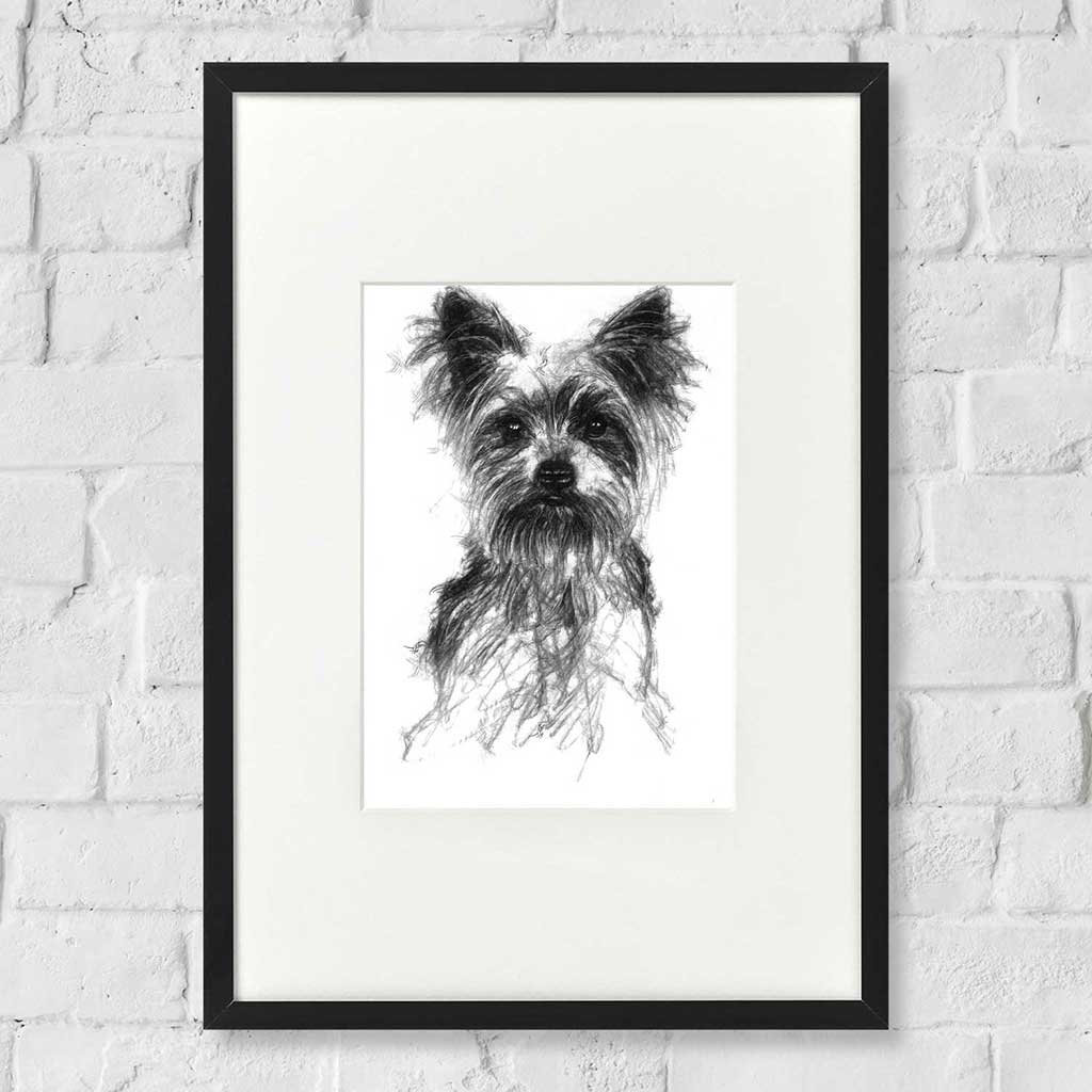 Yorkshire terrier