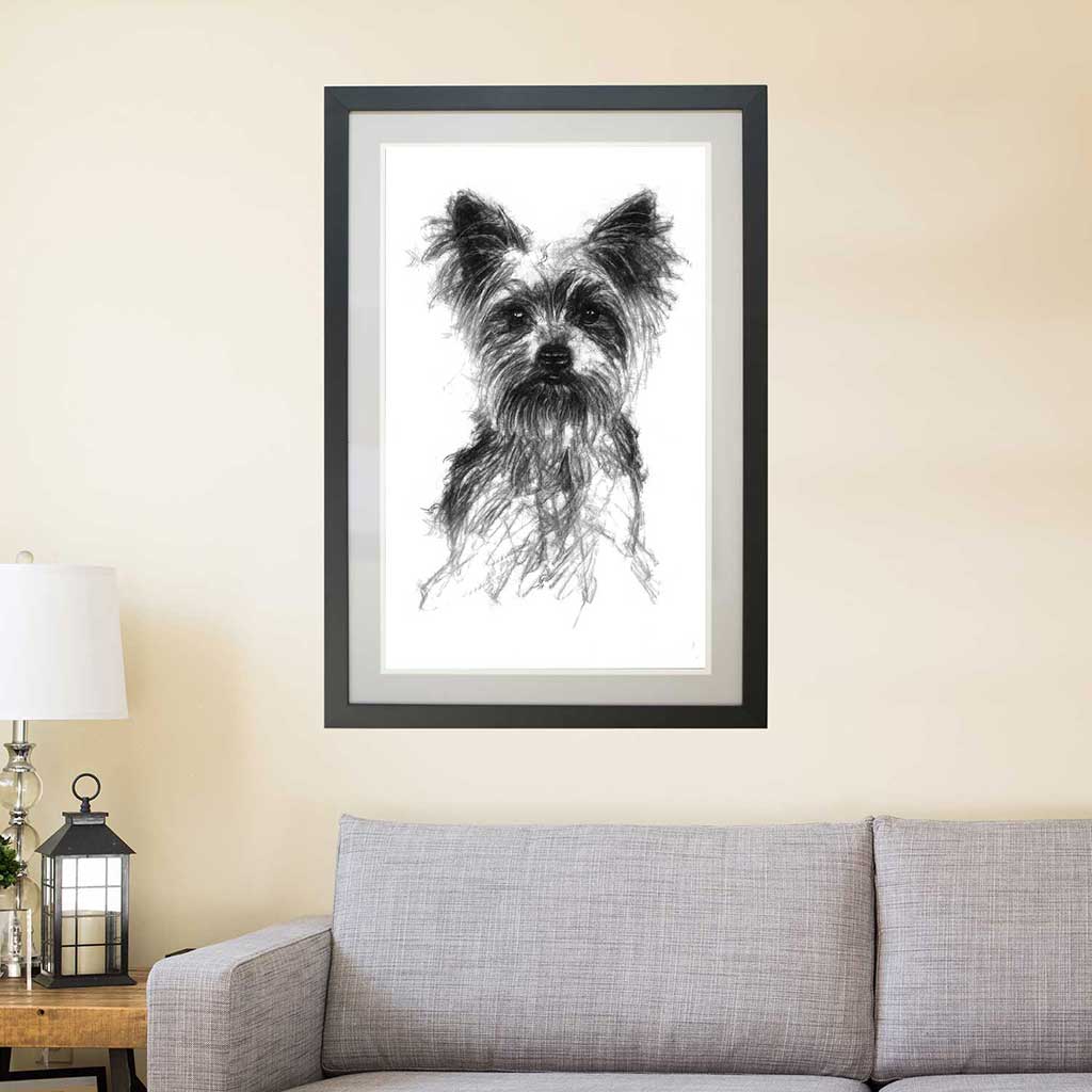 Yorkshire terrier