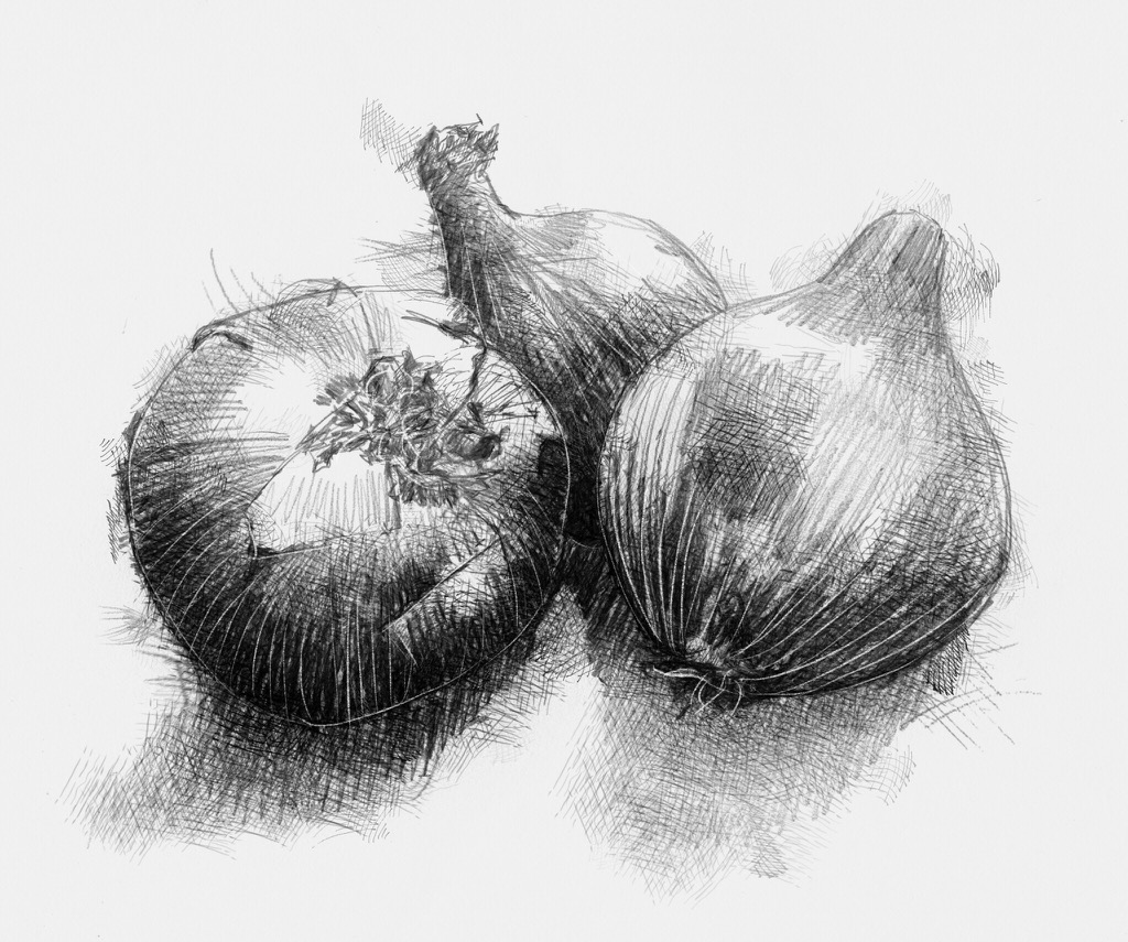 Onions | SeanBriggs