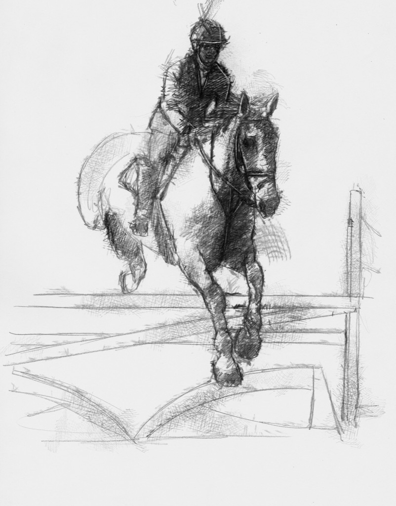 Horse jumping | SeanBriggs