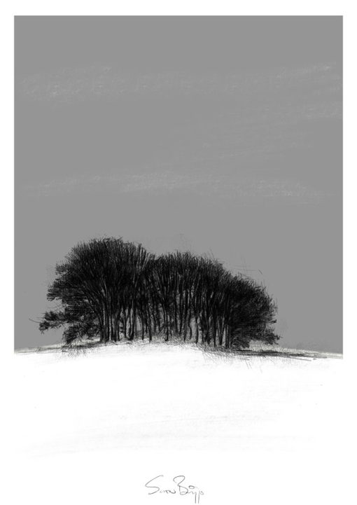 Winter copse | SeanBriggs