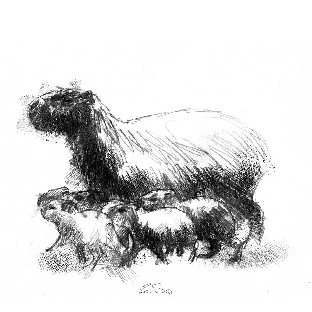 Original Capybara sketch | SeanBriggs