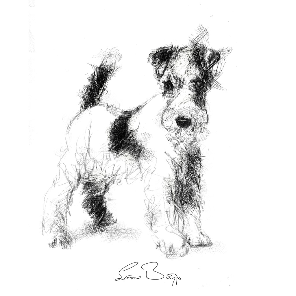 Original Fox terrier sketch | SeanBriggs