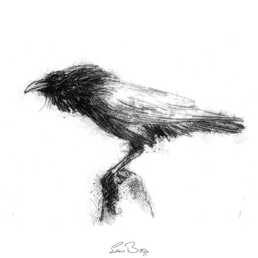 Original Raven sketch | SeanBriggs