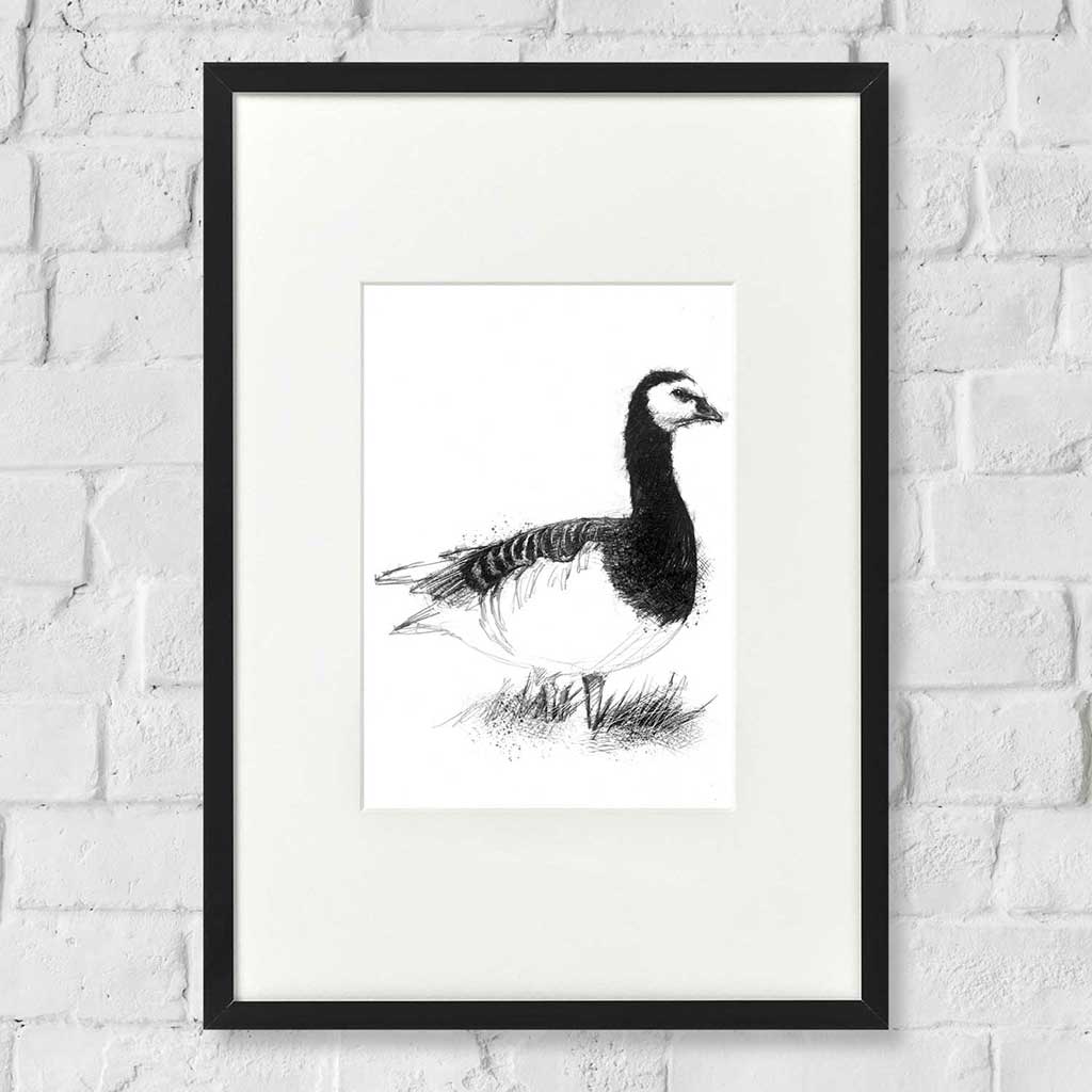 Original Barnacle goose sketch | SeanBriggs